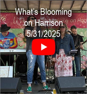 What’s Blooming on Harrison 5/31/2025